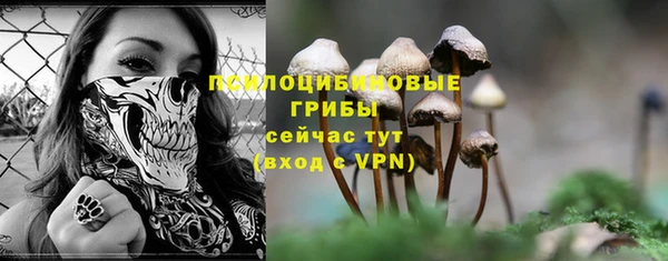 соль курить ск Надым