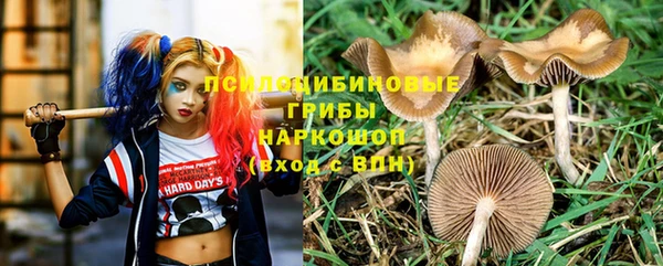 метадон Нея