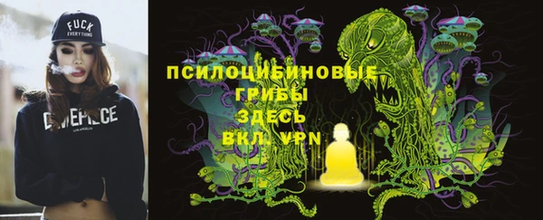 прущие крисы Нефтекумск