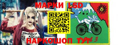 крисы Донской