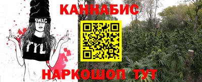 крисы Донской