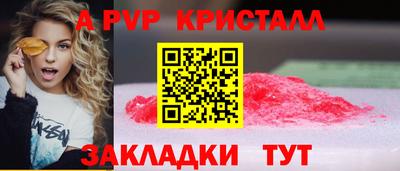 крисы Донской