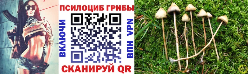 Галлюциногенные грибы Psilocybe  KRAKEN маркетплейс  Кирово-Чепецк  наркошоп 