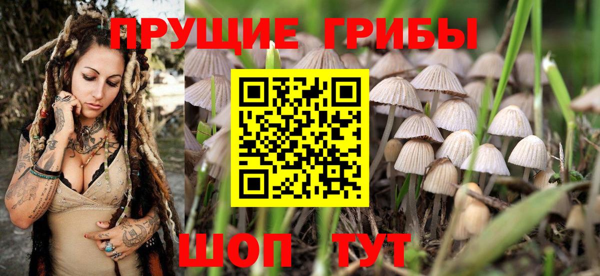 Псилоцибиновые грибы Cubensis Кирово-Чепецк