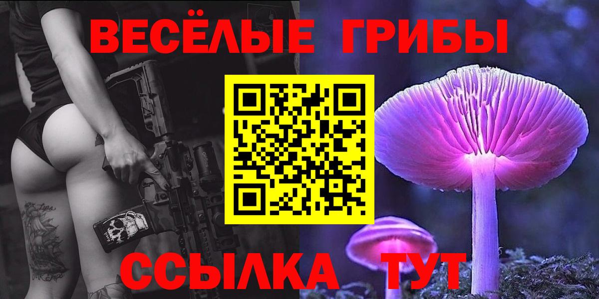 Кирово-Чепецк  Псилоцибиновые грибы мухоморы  Вход с VPN 